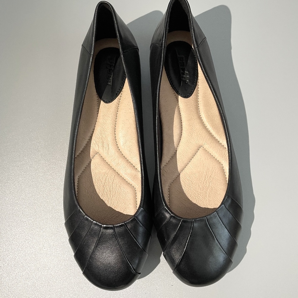 Earth Bellwether-Black Calf Leather Shoes
